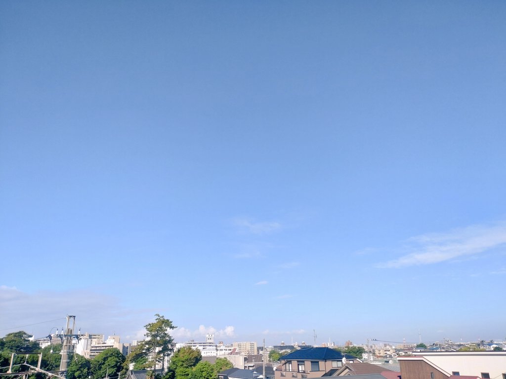 ショーイチ tweet media