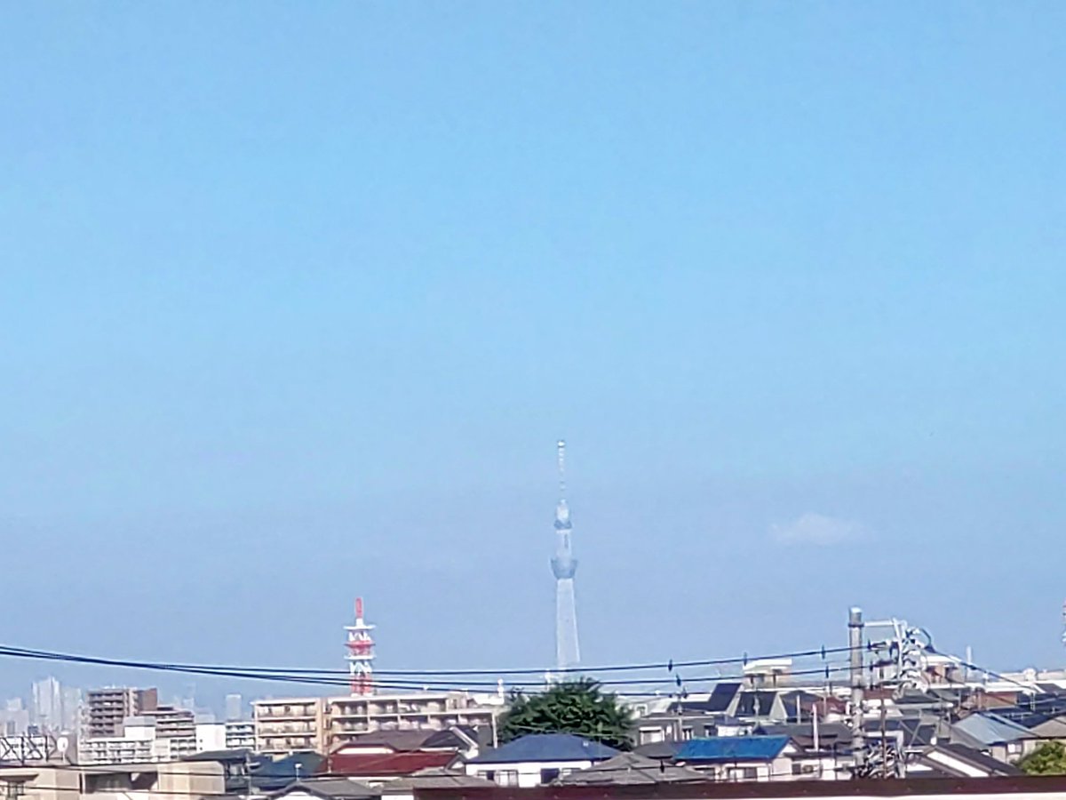ショーイチ tweet media