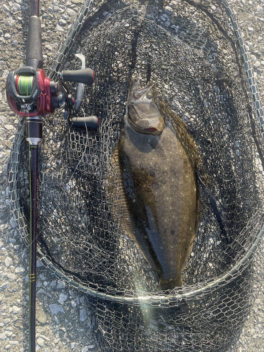 FishingMan_AHRD's tweet photo. 急遽現場が変わって時間が出来たので朝活🎣ヒラメ🐟きた〜^ ^ https://t.co/pRCCrHuaUV