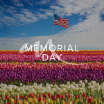 ModeraSPS's tweet photo. In memory of many, in honor of all. We remember their sacrifice! https://t.co/wFGLjfOdoe