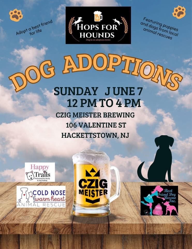 cnwhnj's tweet photo. Upcoming adoption events! NJ pet rescue https://t.co/qhhM3XlJOQ