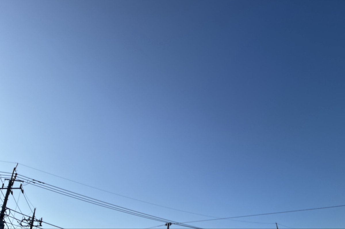 雪乃🌙.* tweet media