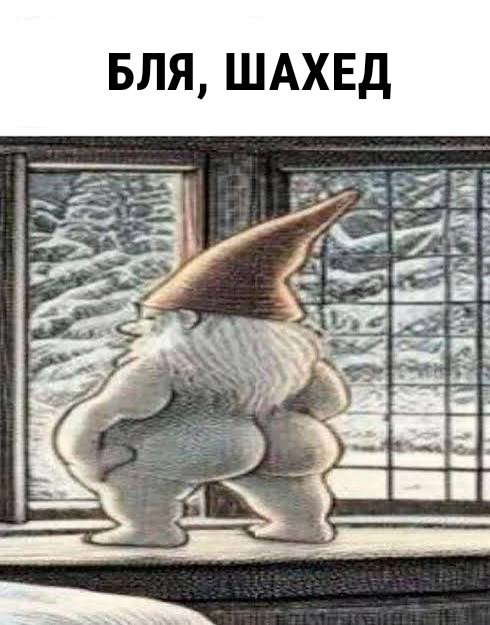 Лісовий рудь🎮🎬 tweet media