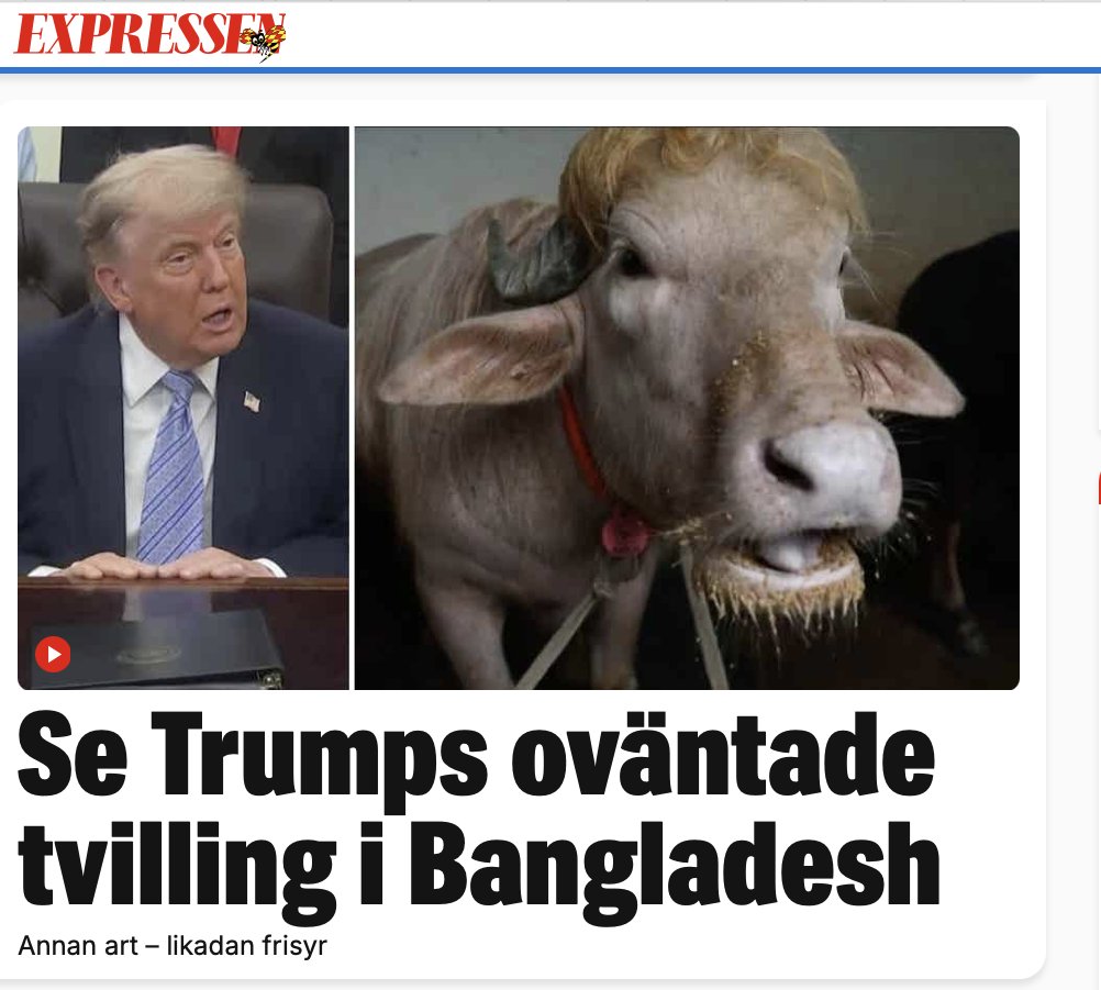 BBJS62's tweet photo. Den seriösa Ex-pressen, allmänintresse, sant och relevant... tack Bonnier och P.Wolodarski.
@Expressen https://t.co/67JvueZyb3