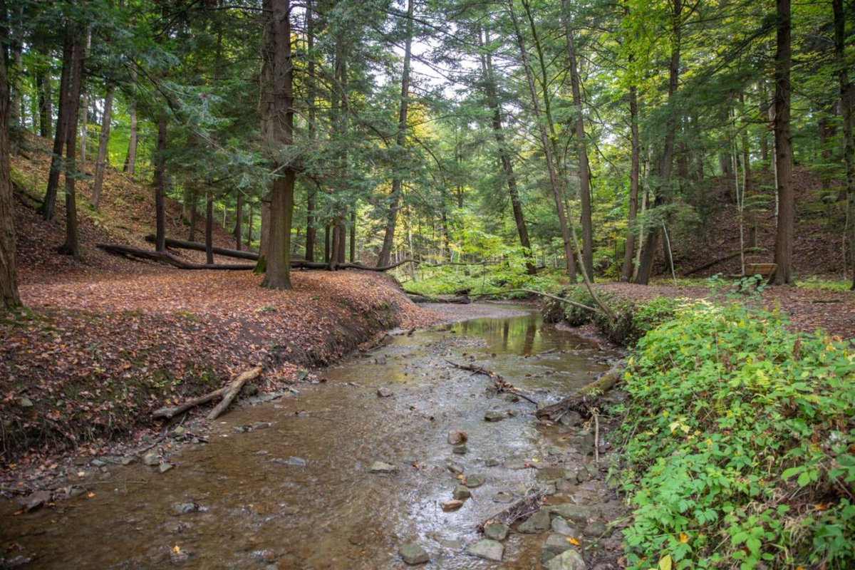 Hamilton_CA's tweet photo. HCA is seeking public input for the Dundas Valley Study Area Plans (Phase 1).

We are updating Master Plans and Management Plans for several conservation areas in the Dundas Valley area as part of our Ten-Year Master Plan Update Strategy. These plans provide a long-term vision and help guide how conservation areas are managed, restored, improved, and developed over time.

Public surveys are open until June 12, 2026.

Learn more and share your feedback: https://t.co/z2nNIY3T76