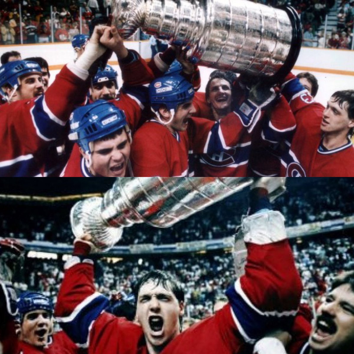 Habs Fanatics tweet media