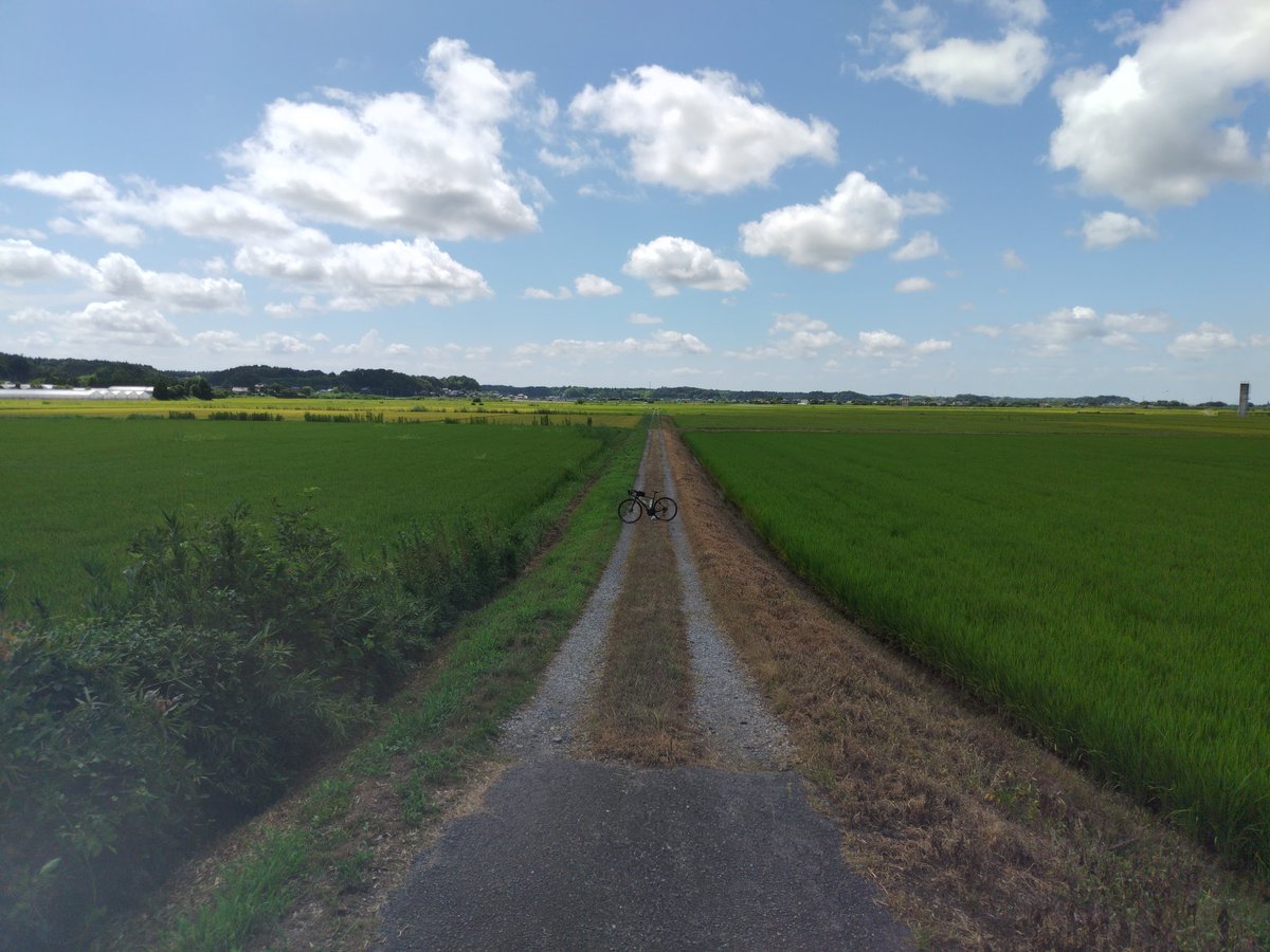 クニキチ tweet media