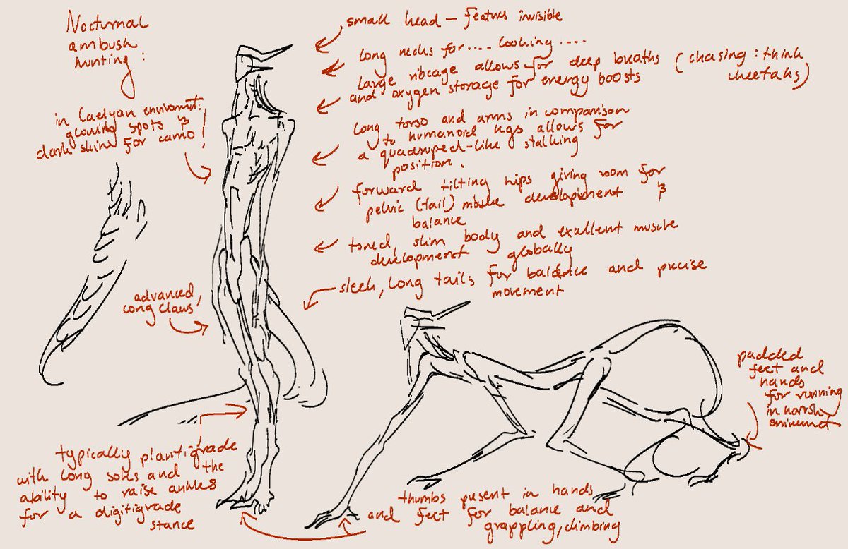 tooterson_tut's tweet photo. reproductive system in replies so nsfw warning https://t.co/qlXjBav5s8