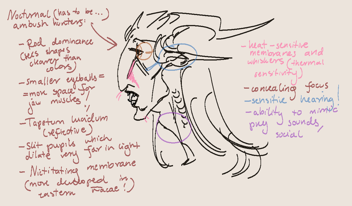 tooterson_tut's tweet photo. reproductive system in replies so nsfw warning https://t.co/qlXjBav5s8