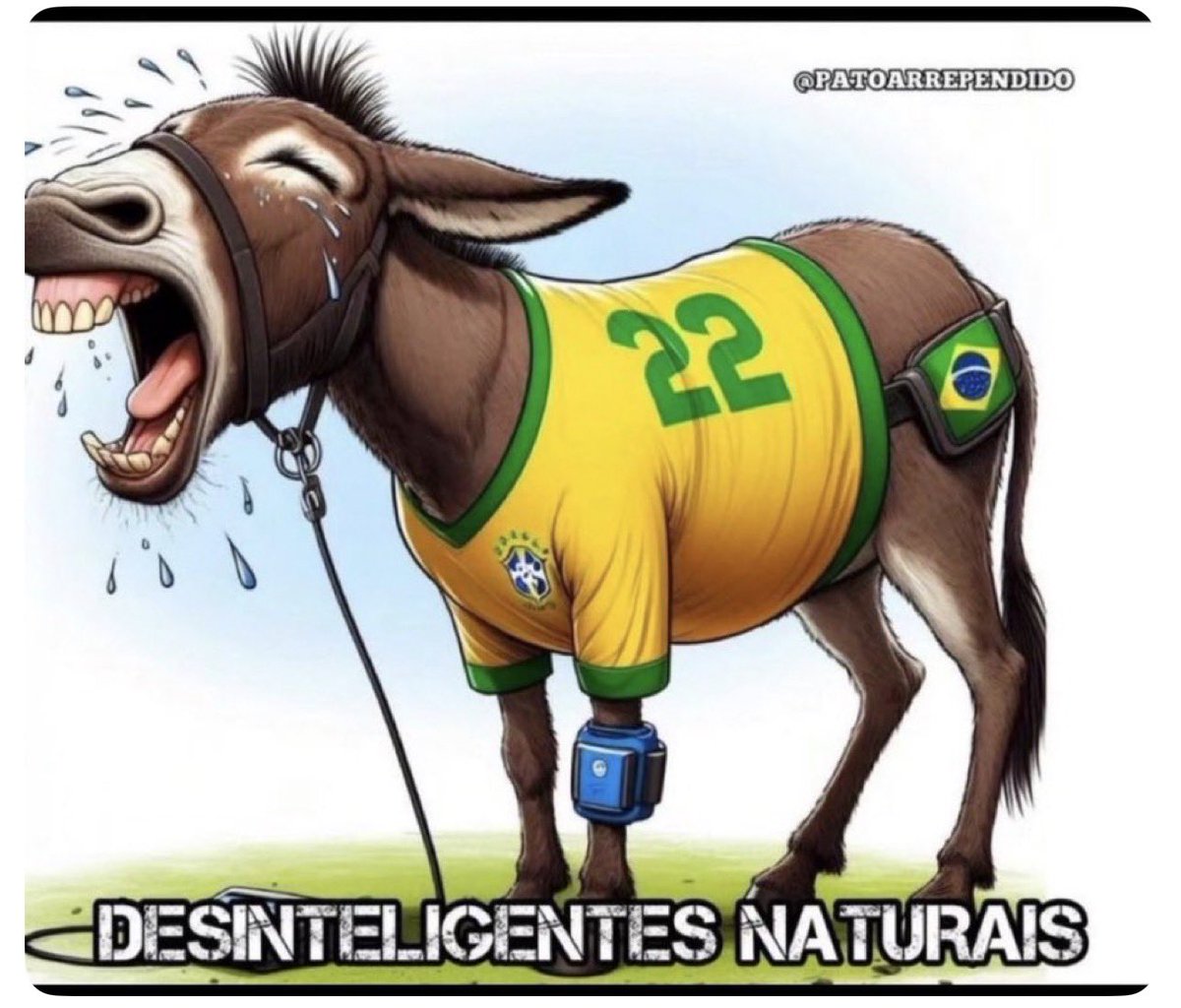 GADO MALUCO 🇧🇷🚩🚩 tweet media