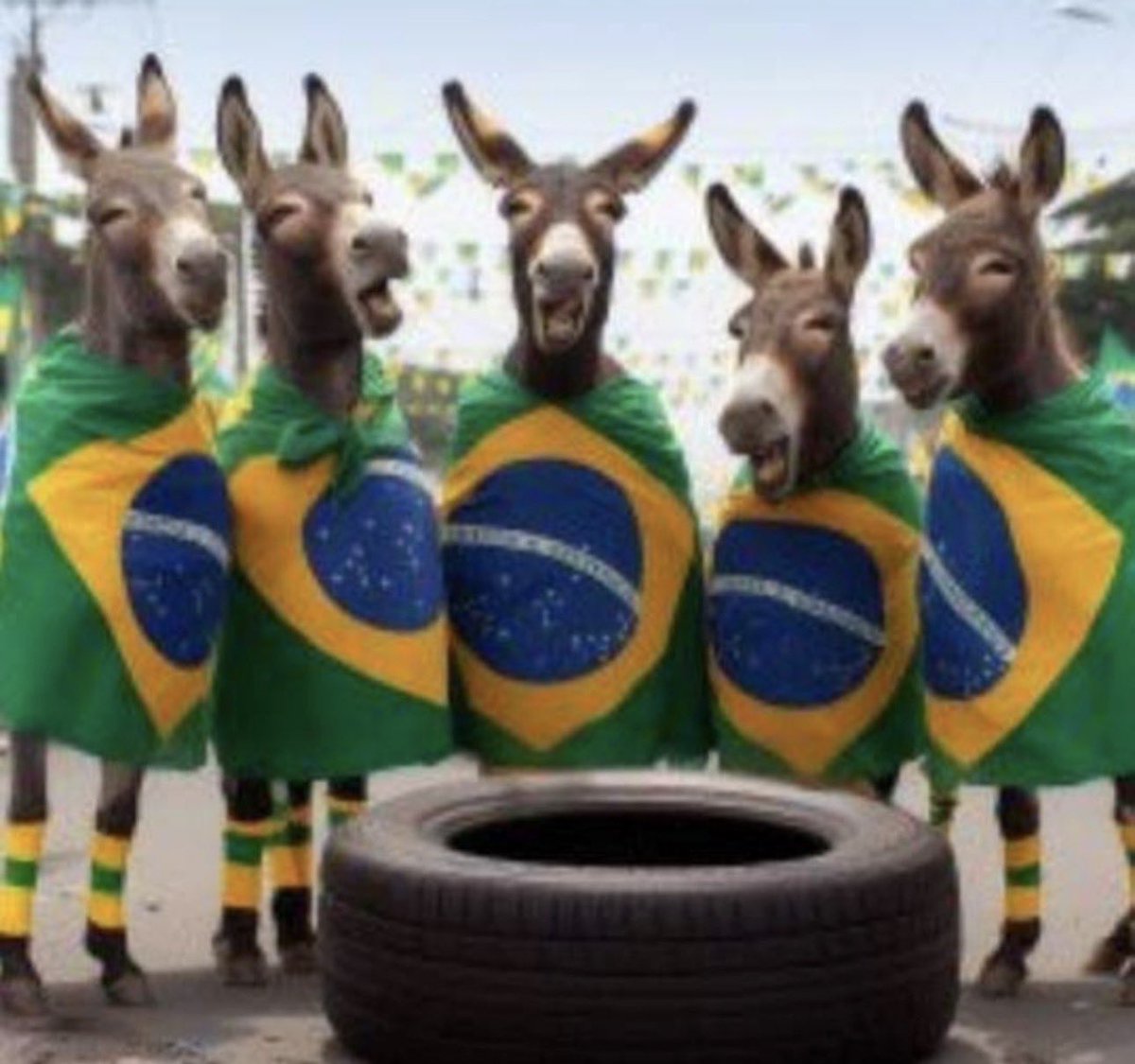 GADO MALUCO 🇧🇷🚩🚩 tweet media
