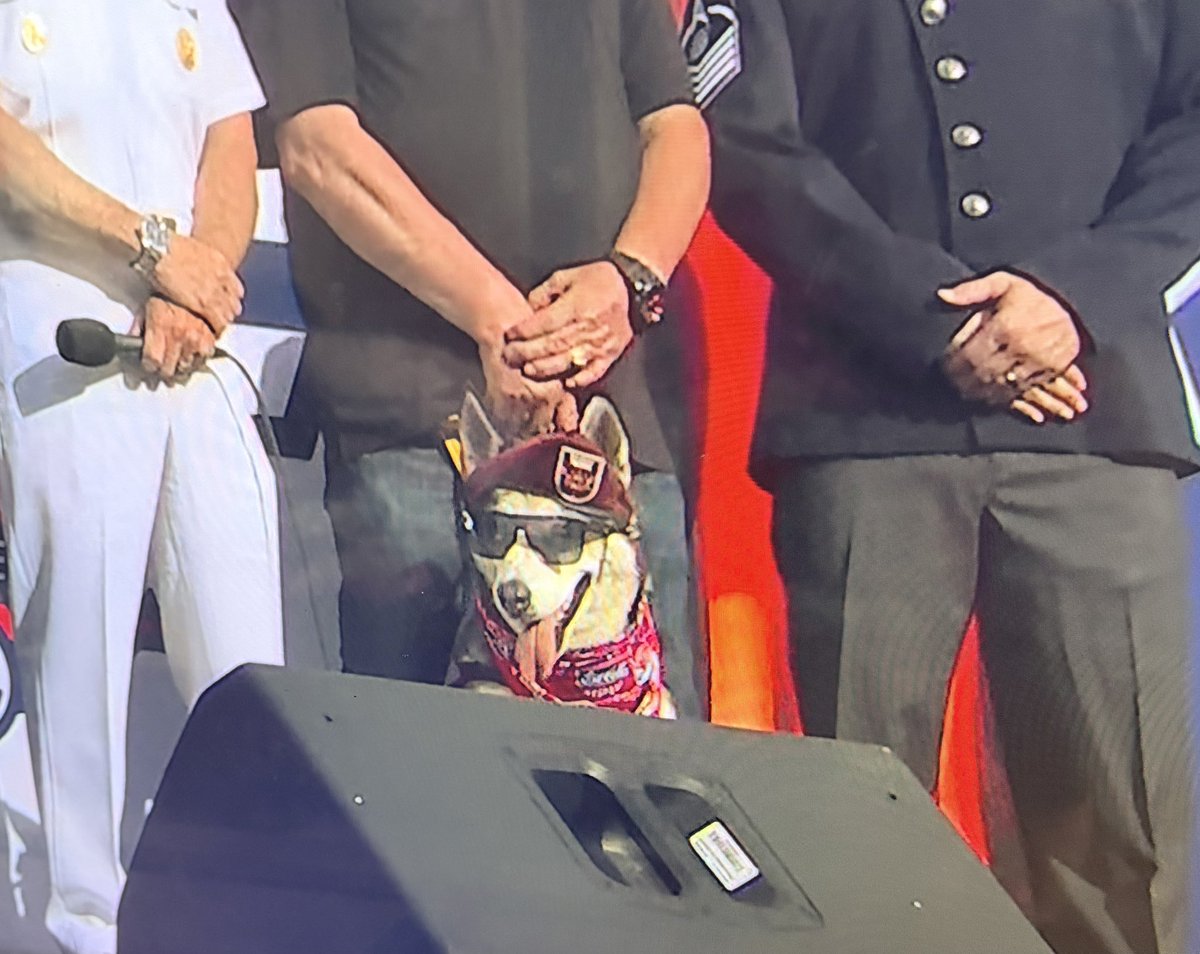 tinyroe1987's tweet photo. No one will ever be as cool as this dog. #Coke600 https://t.co/ql9HwpIdQJ
