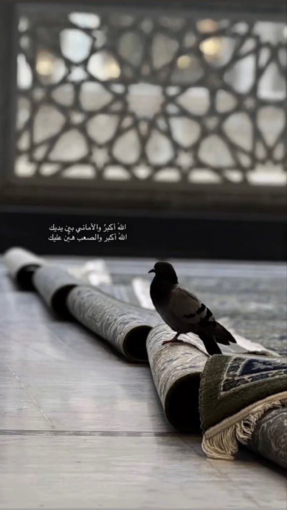 14_12G's tweet photo. #يوم_الترويه https://t.co/9yEWaiKkwc