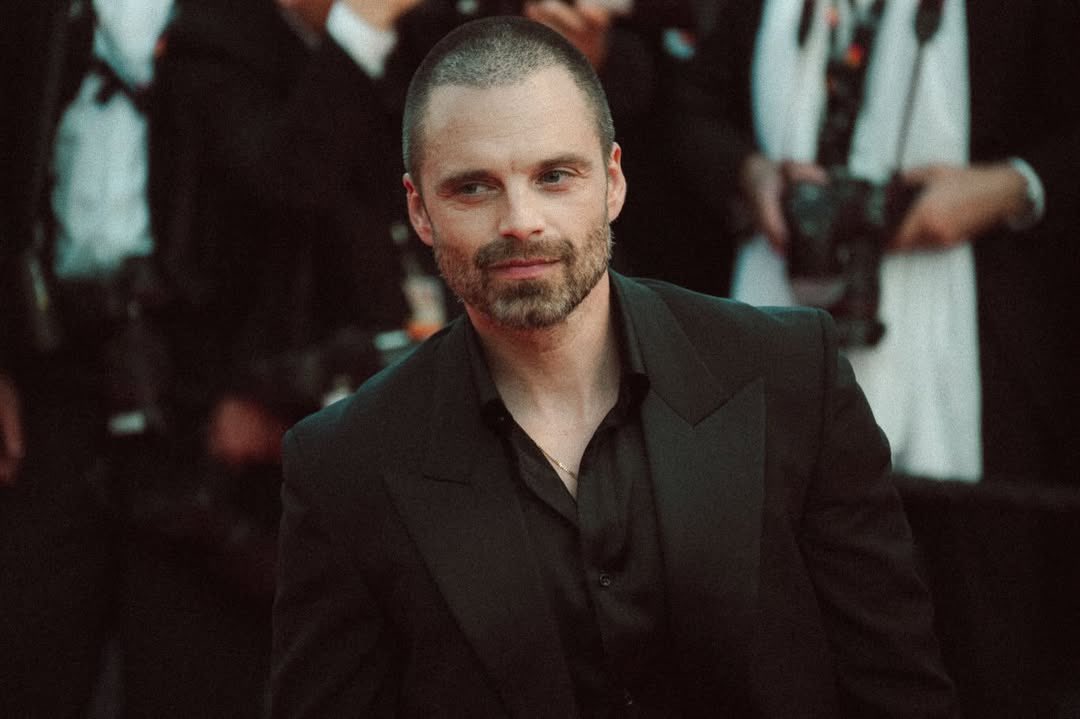 Sebastian Stan Archive tweet media