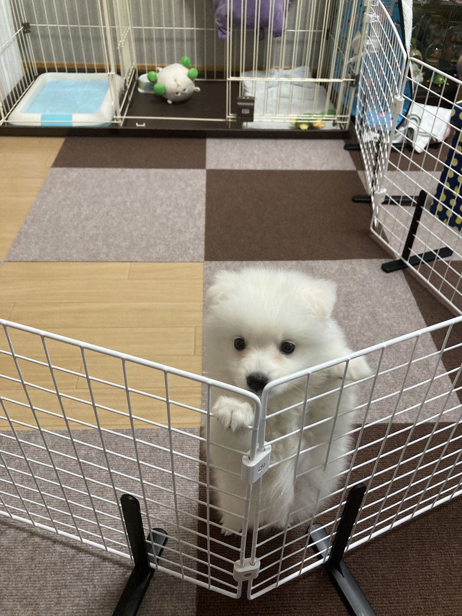 てみちゃん tweet media