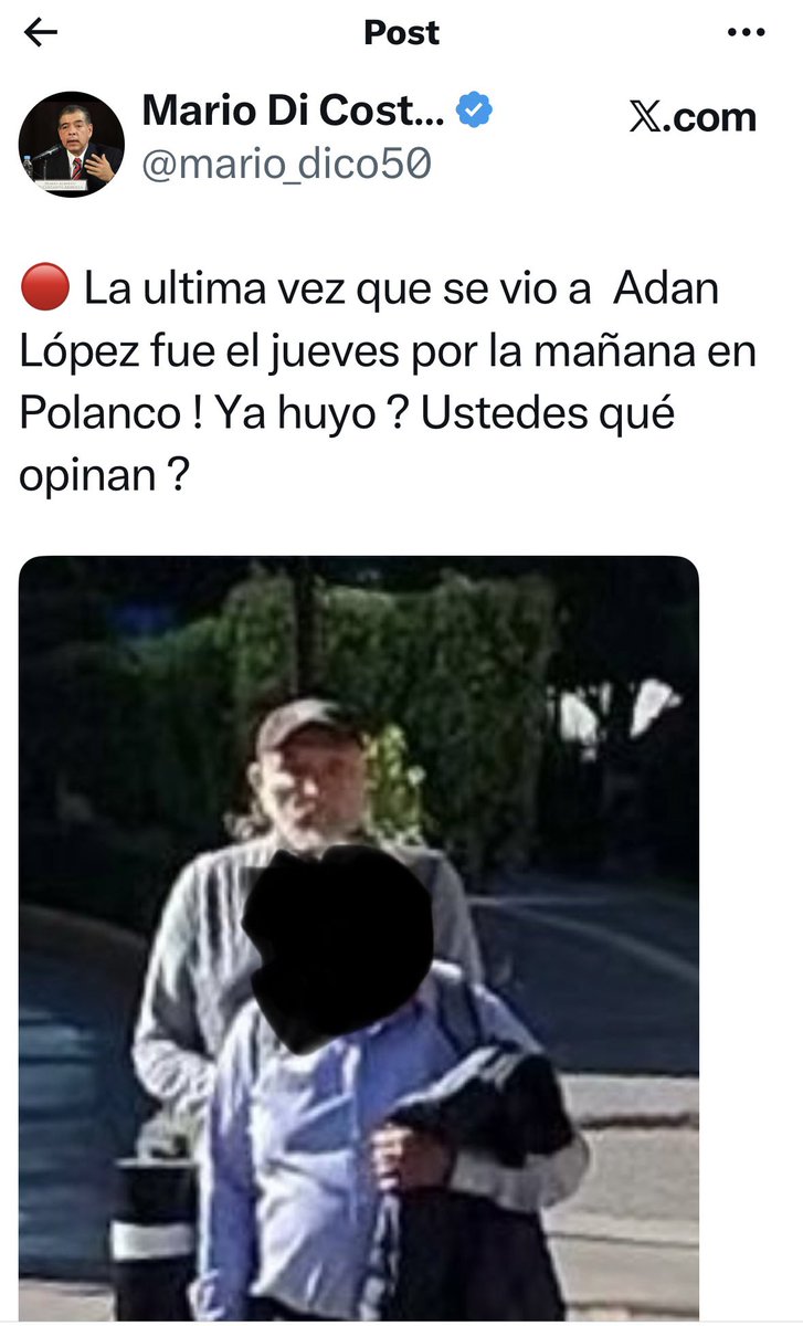 Mario Di Costanzo tweet media