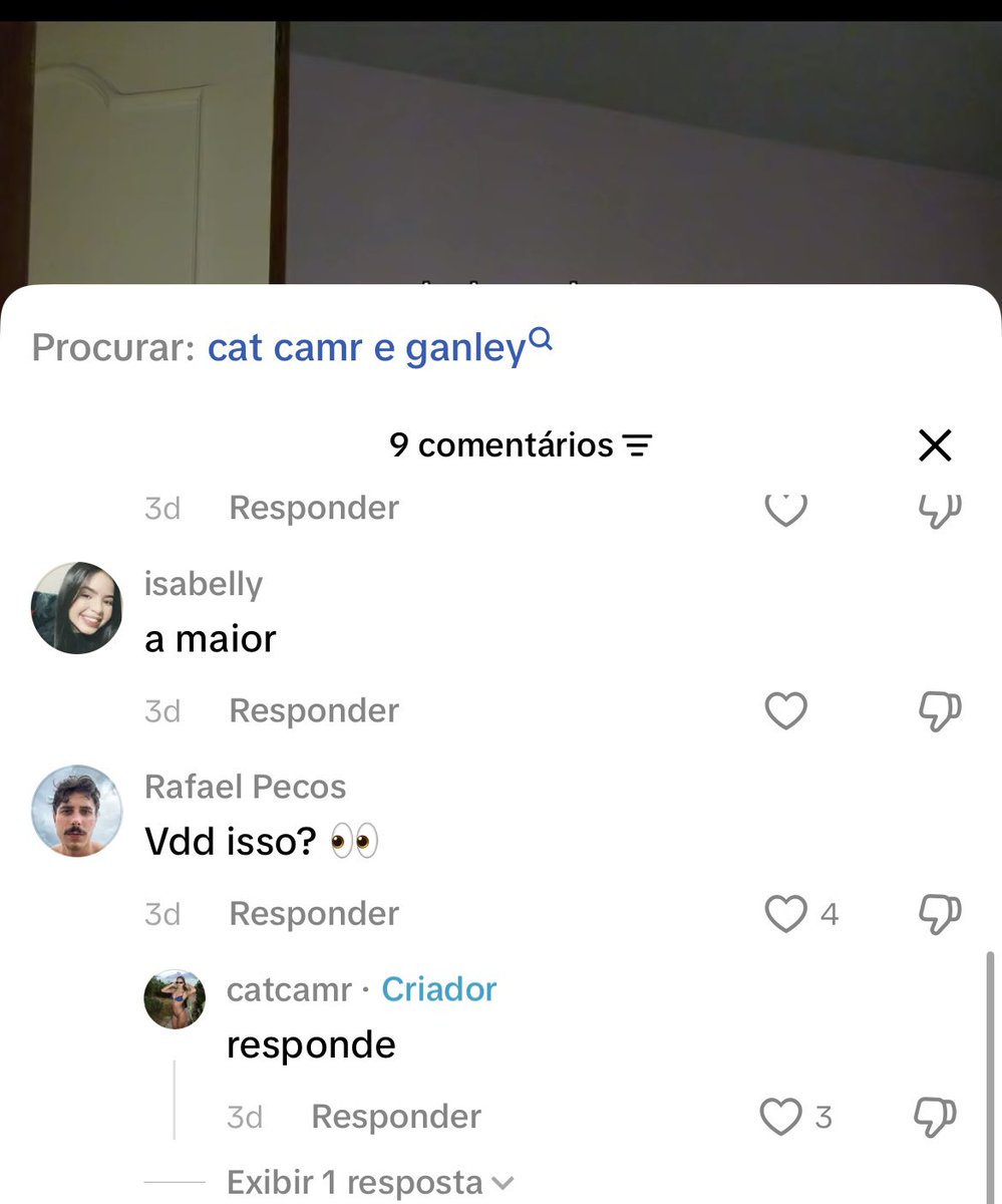 gif bobo da corte tweet media
