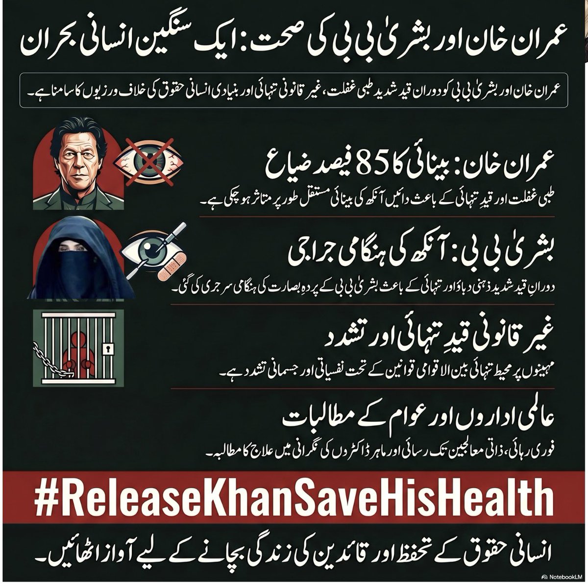 Insaf Khan 🇵🇰🌏 tweet media