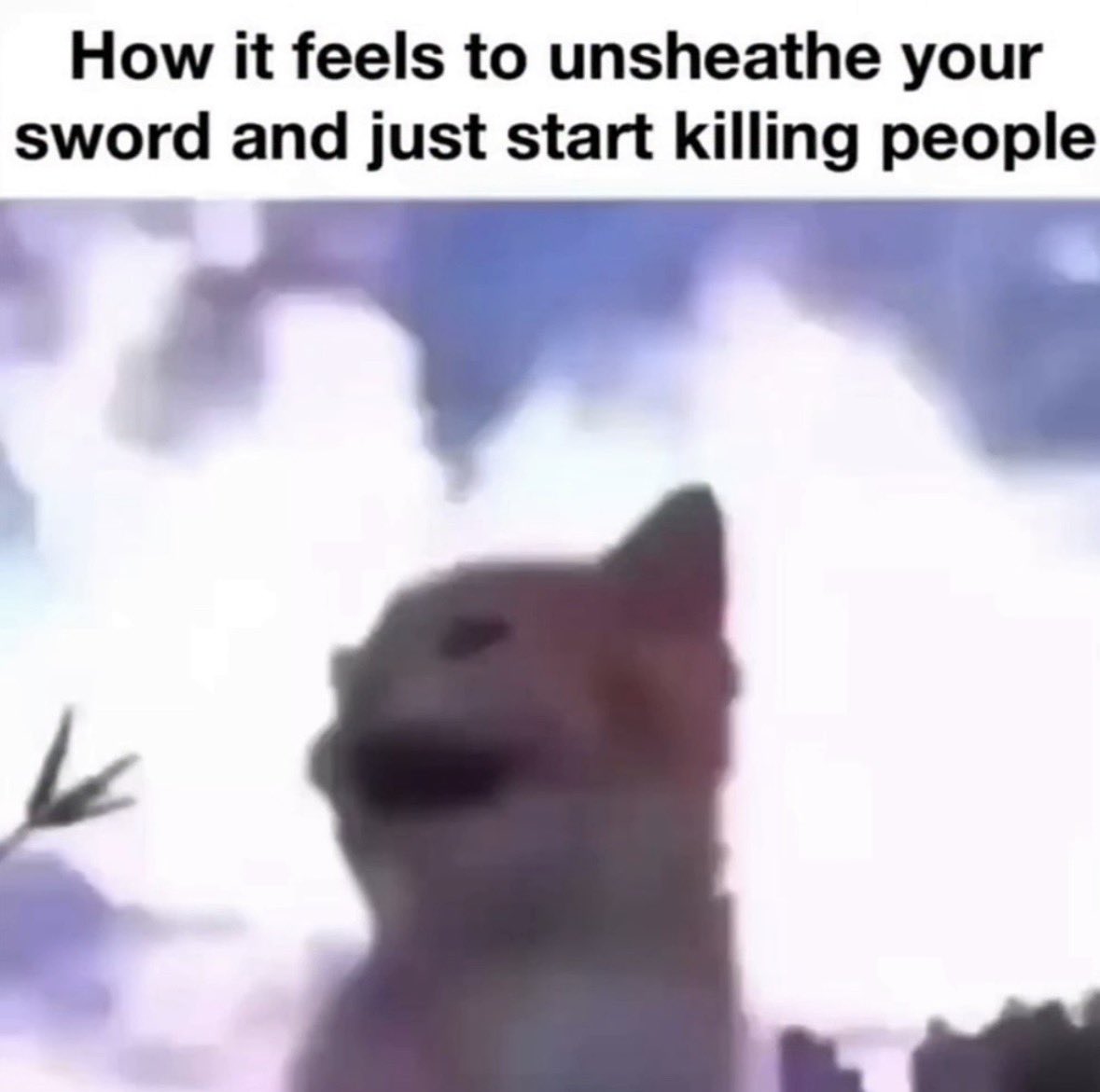 LiterallyMeCats tweet media