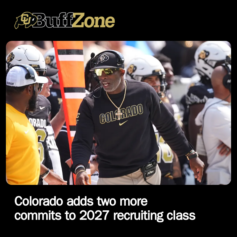 Buffzone tweet media