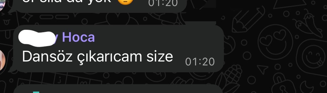 ketçap özburger tweet media