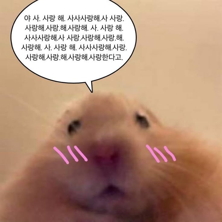 imfcos1997's tweet photo. @Jho_ASD 헤헤 https://t.co/E8GJs8BPDZ