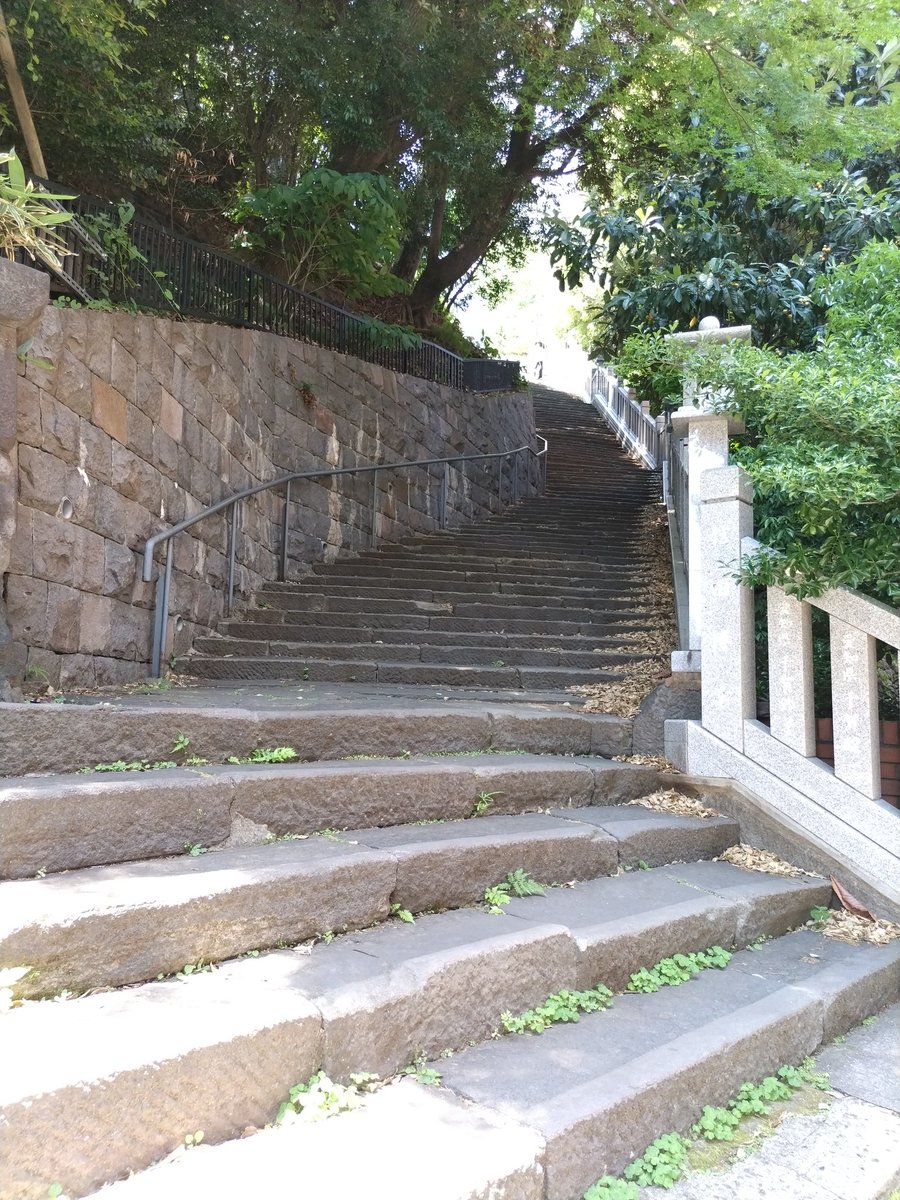 神社を歩こう♪ tweet media
