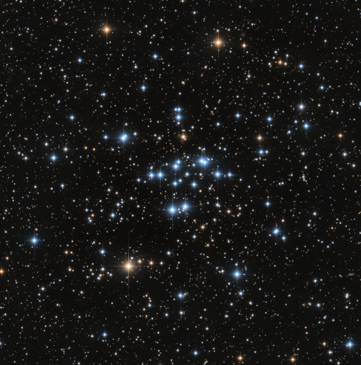 Chuck's Astrophotography tweet media