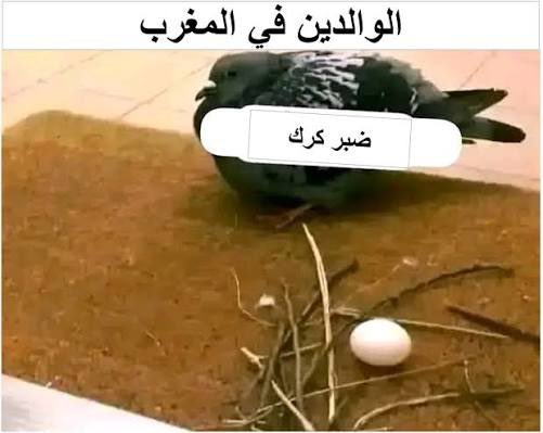 Call me Wahib🕯️ tweet media