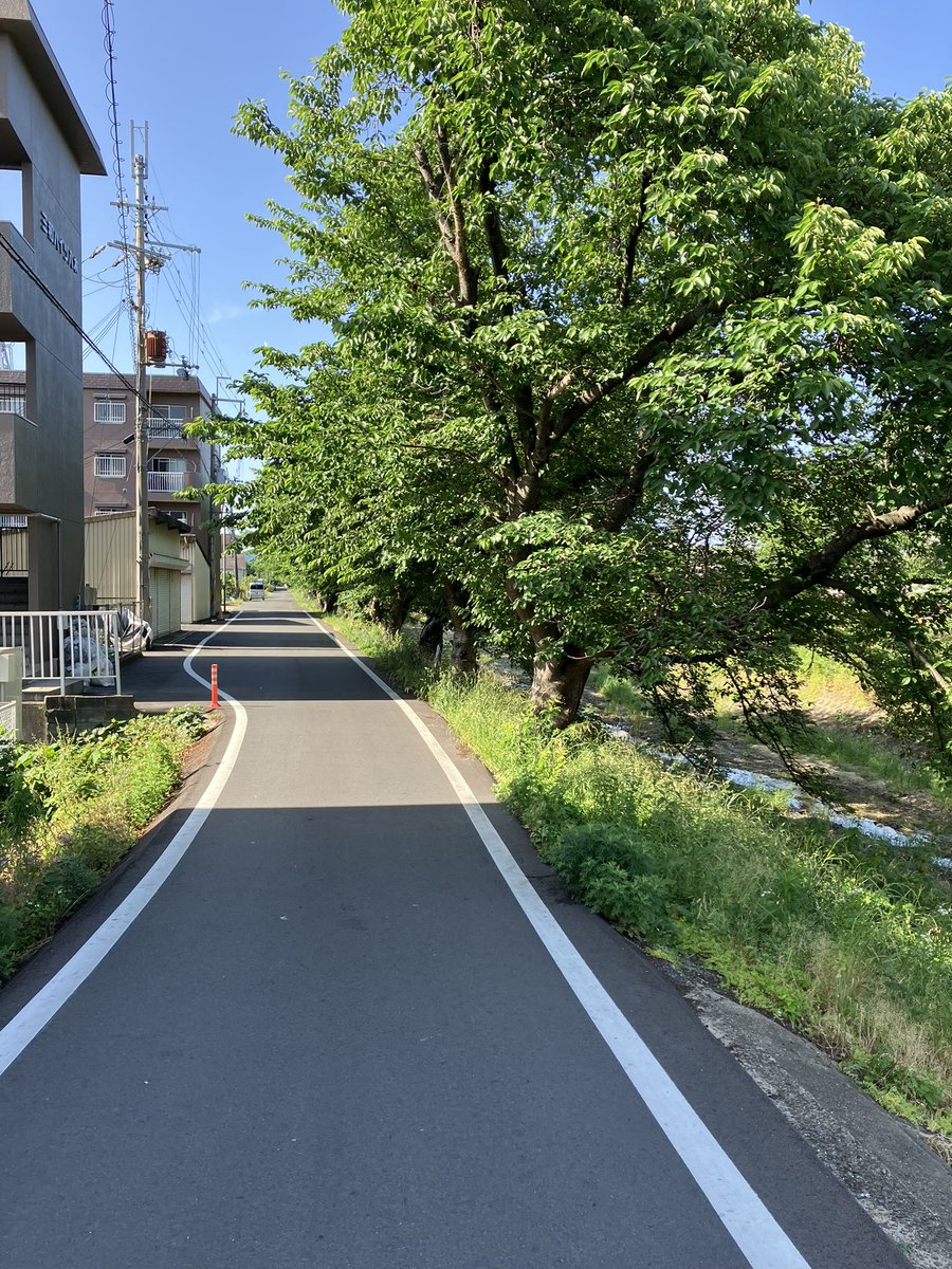 tata MITSUMA tweet media