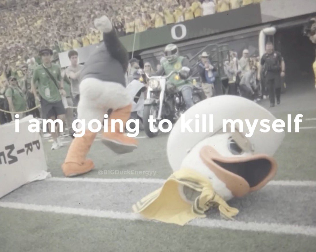 🦆 B1G Duck Energy 🦆 tweet media
