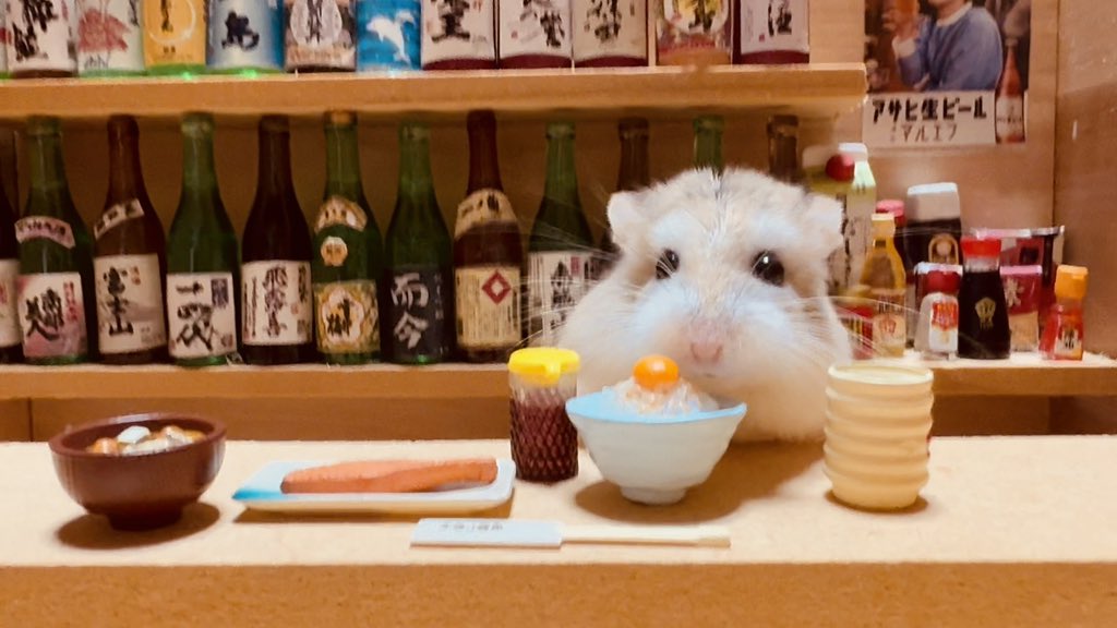 ハムスターのじんぱち【佐藤公亮】 tweet media