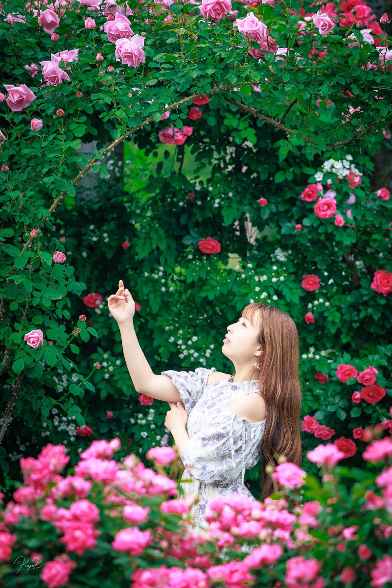 📷聖人(Kiyohito) tweet media