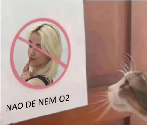 ZDK tweet media