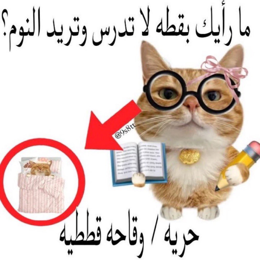 Misa𐙚 tweet media