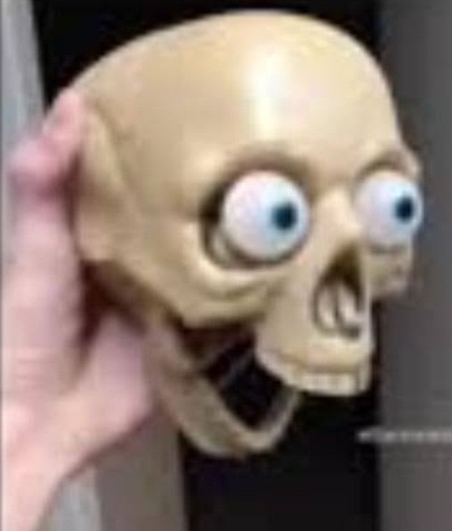 Scuffed_Cryptid's tweet photo. @real_loonarae https://t.co/cHKwaAlwzz