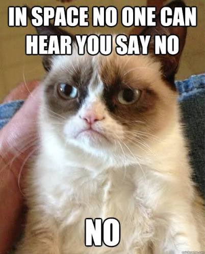 "Mad Cat" Cattis tweet media