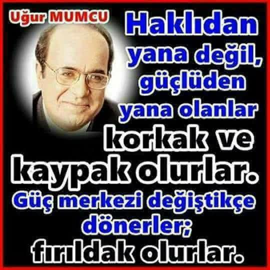 eylul tweet media