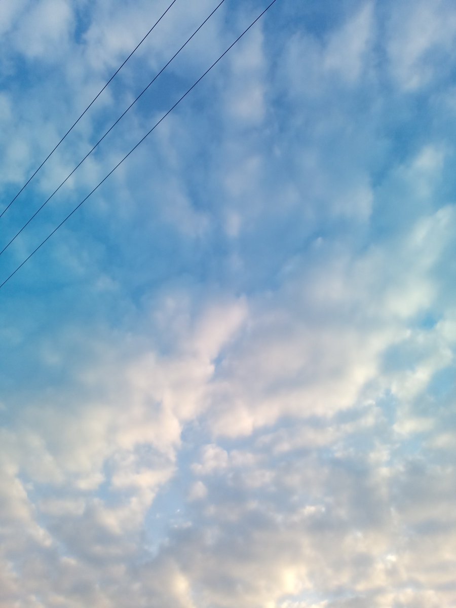 💙空色言葉🍀ゆうサブ垢 tweet media