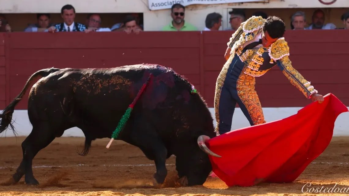DiarioToros's tweet photo. Toros en VIC-FEZENSAC 24/05/2026

❇️ Corrida “Baltasar Ibán”.
➡️ Corrida de Toros - 4ª de abono.

1º (M. De Aranda): Palmas.
2º (J. Garrido): Silencio.
3º (J. De Castilla): Silencio.
4º (M. De Aranda): Pitos.
5º (J. Garrido): Ovación.
6º (J. De Castilla): Silencio. https://t.co/sR3qmZfCnm