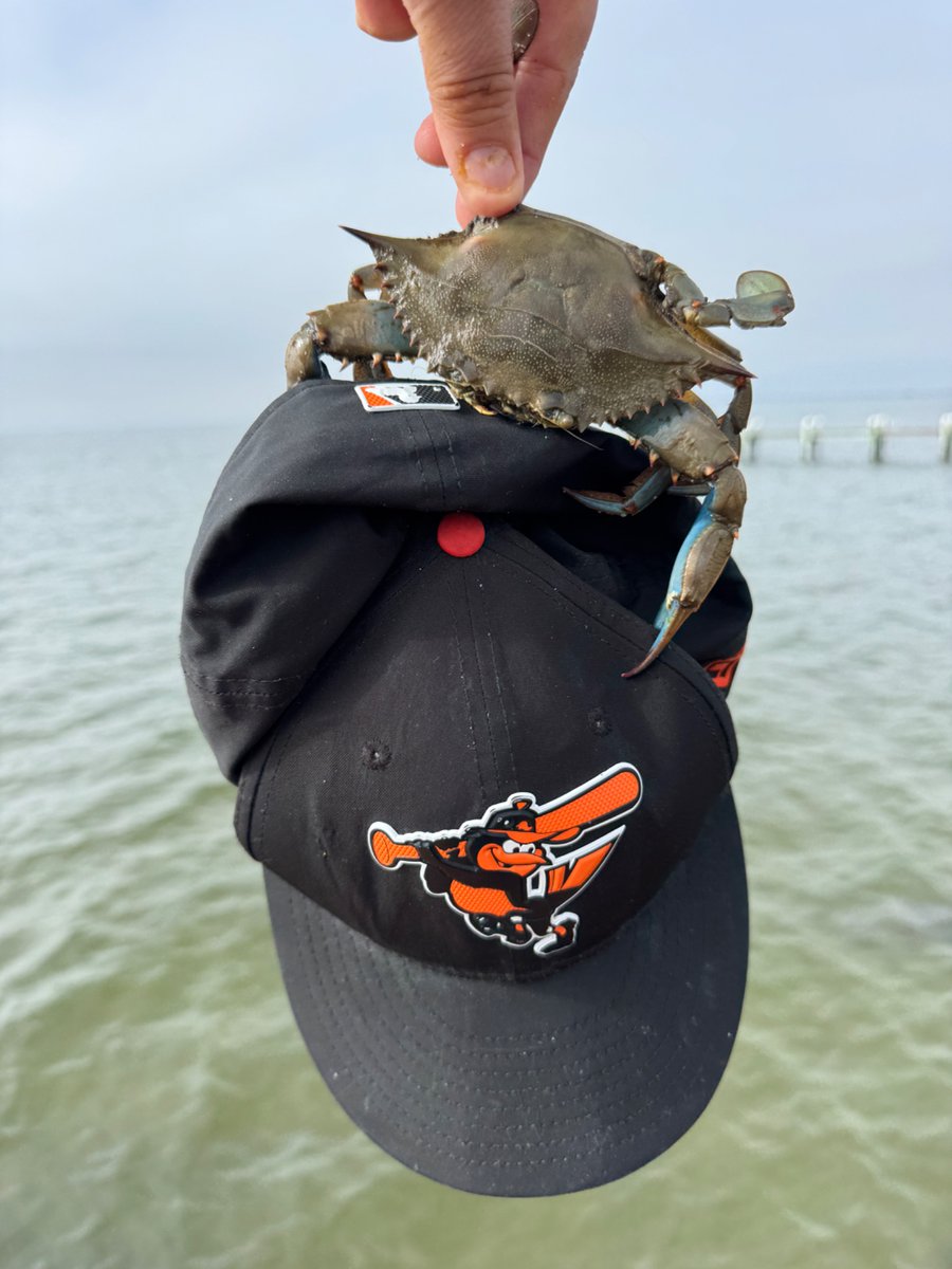 TestudoDave's tweet photo. Alright @BrettHollander, checking in from the Eastern Shore in Westover, MD, where the crabs are heavy and delicious! Hoping for some more #OriolesMagic in game 2! https://t.co/Bky7OMlzNH