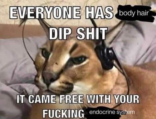 the creature tweet media