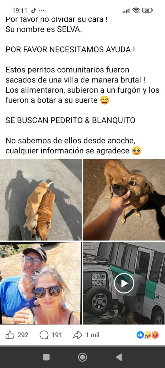 el Rockdrigo ❤💜💚🌳🌳🌳🌳🐈⬛🐕 tweet media
