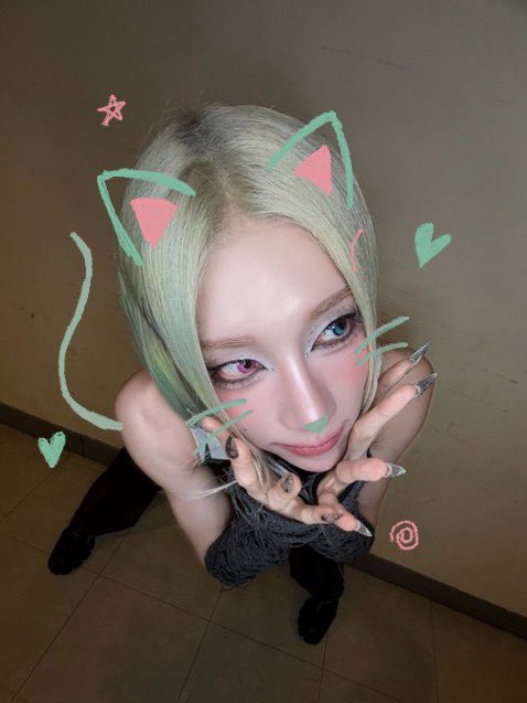 cat 🐱 tweet media