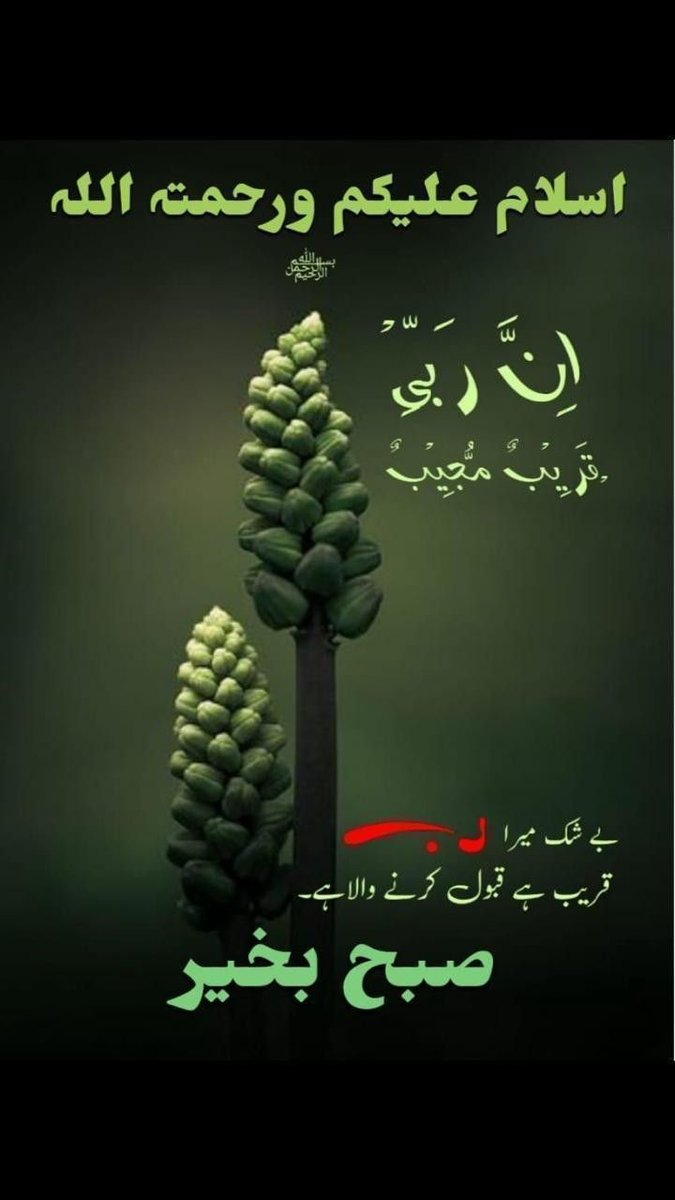 🌹KHARAL🇵🇰🇲🇾 🌷 tweet media