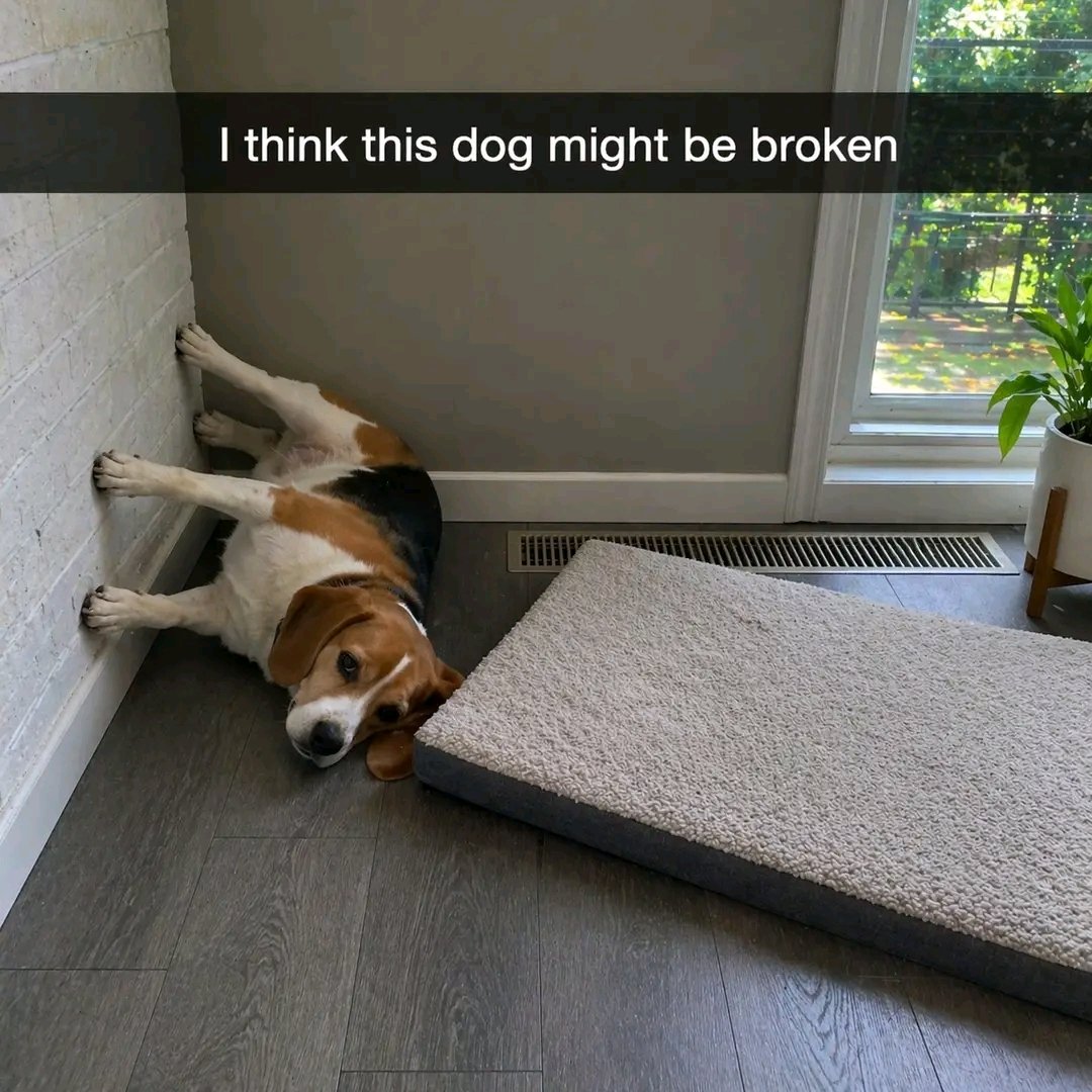 beagle_lover tweet media