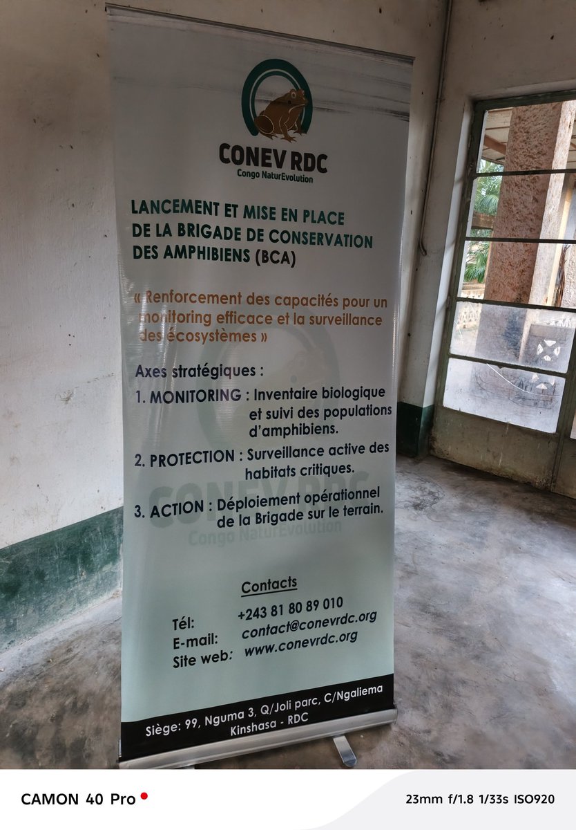 conevDRC's tweet photo. 👥 Brigades de Conservation : Nous impliquons directement les communautés locales en créant les Brigades de Conservation des Amphibiens (BCA), transformant les populations riveraines en premiers protecteurs de ces espèces. https://t.co/HmT8OwABUy