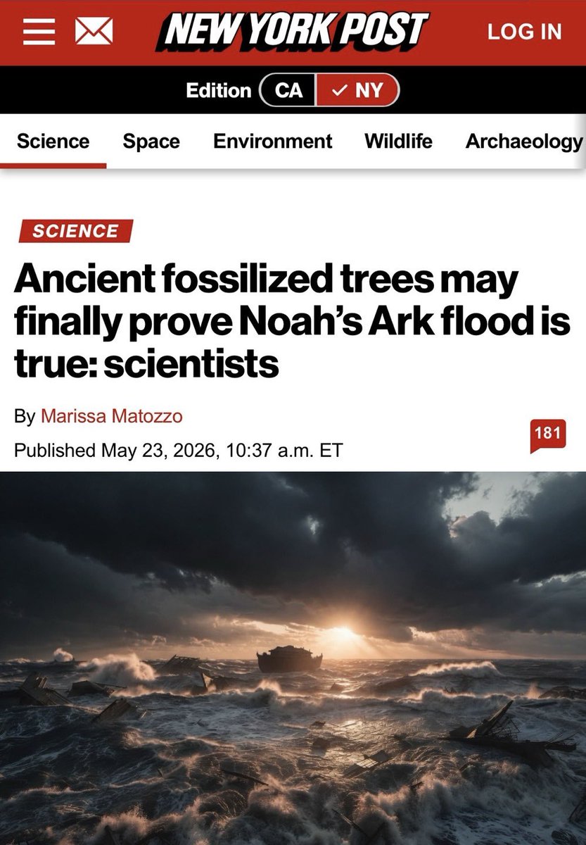 Noahs Ark Scans tweet media