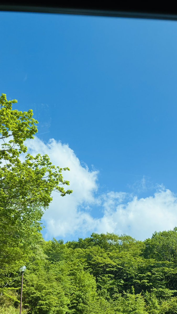 りさ tweet media