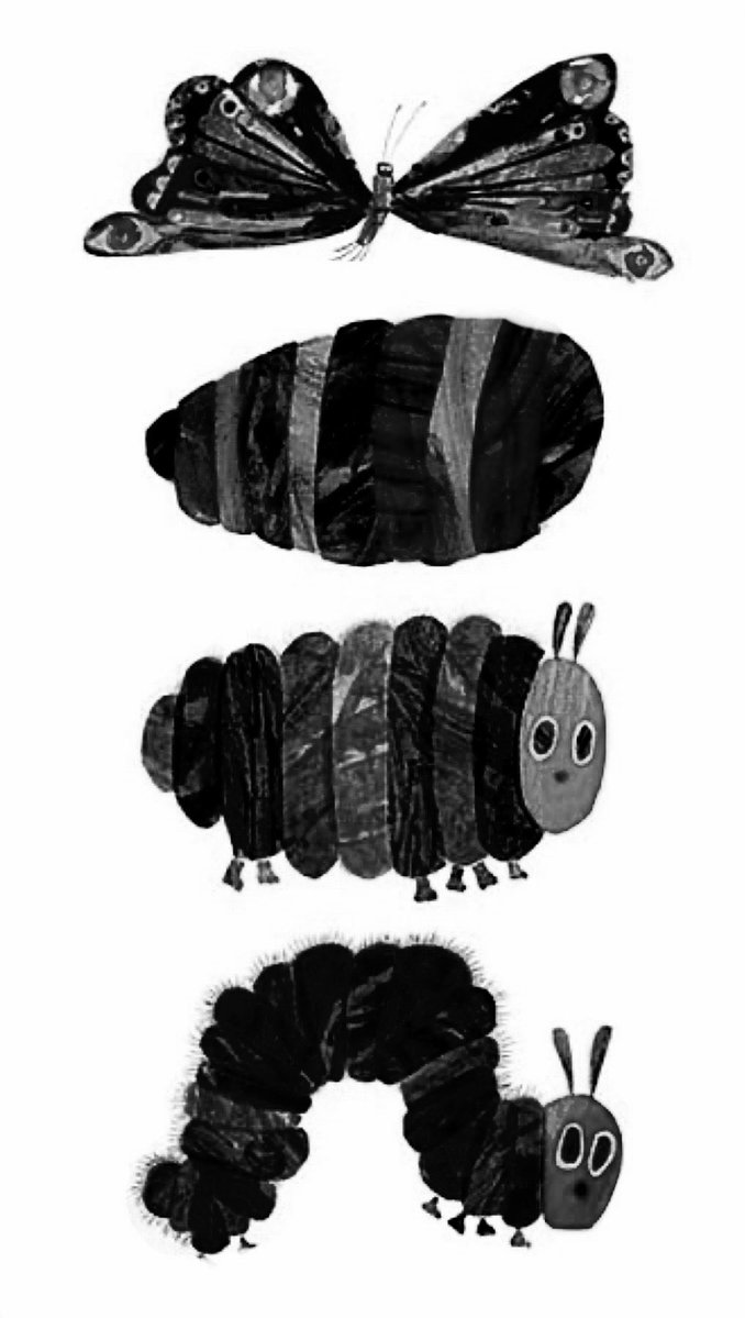 megha_lilly's tweet photo. The reason people are so defensive of the Hungry Caterpillar is because people are very attached to the idea that art can be whatever they want and they think they are very educated and smart for having this idea. To contradict this makes them uncomfortable because it is a radical indictment of their whole world view. It’s a postmodern idea of a lack of standards. You can tell the hungry caterpillar is ugly art because the allure disappears completely when you remove colour. People are responding to colour like they do to junk food skittles. People defend poor design and not just that, poor design and aesthetics aimed at children. But children don’t deserve to be given poor quality things just because they’re younger. Children aren’t given badly cooked food simply because they can’t cook well yet, so why on earth would we give them badly made art simply because they don’t haven’t the fine motor skills to make good art yet?